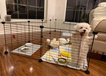 Klatka dla królika modułowa kojec wybieg metalowa siatka