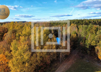 Działka Gromadzin 6253m2