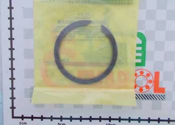 Pierścień Case IH CNH