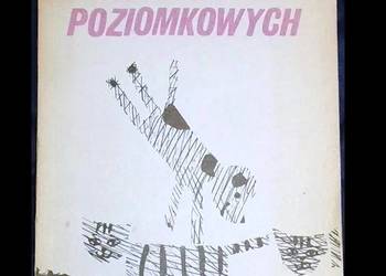 Smak lodów poziomkowych - Ewa Otwinowska, Izabella Bielińska