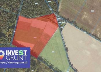 [53,56 ha] przetarg na dzierżawę gruntów rolnych