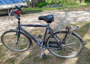 Rower męski GAZELLE