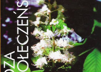 Wiedza o społeczeństwie.