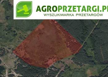 Dzierżawa 41,46 ha gruntu rolnego