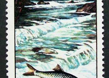 Znaczki polskie rok 1992 Fi 3233 z błędem B 1