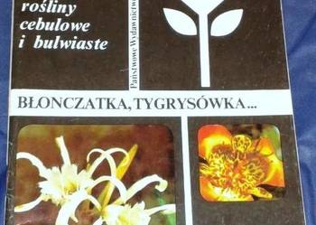 Mało znane ozdobne rośliny cebulowe i bulwiaste - Piskornik
