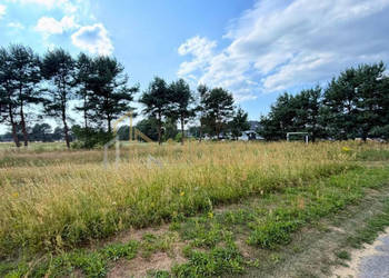 Działka 2684 m² w zielonej okolicy - Modrzewie