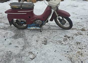 Jawa 50 jawka panterka kaczka skuter