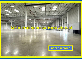 Magazyny do wynajęcia łódzkie przy A1 różne powierzchnie - 0% PROWIZJI