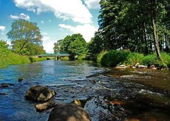 Działka Rolno- Budowlana z Lasem
