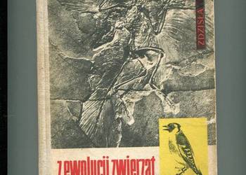 Z ewolucji zwierząt - Zdzisław Madej