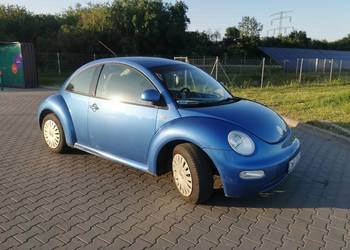 New Beetle