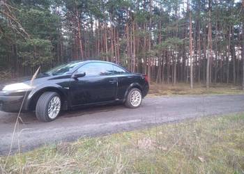 Renault Megane C.C. KARMANN 2.0 16V benzyna
