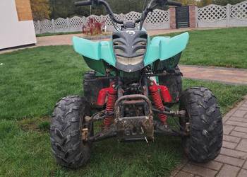 Quad 125 bashan