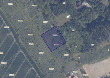 Działka 223/18 w miejscowości Warcz