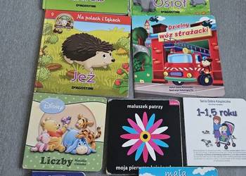Zestaw książeczek dla malucha