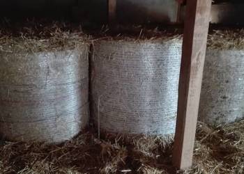 Sprzedam Siano i Słomę