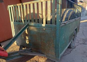 Przyczepa bydlarka do bydła żywca koni