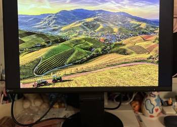 Monitor EIZO 24” IPS EV2460 USB 3.0 HDMI Made in Japan