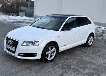 Audi A3 1.6 TDI 105KM #LED #KAMERA Bezwypadkowy, potwierdzony przebieg