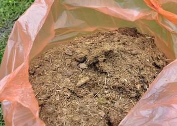 Przekompostowany obornik koński 35l bez chwastów