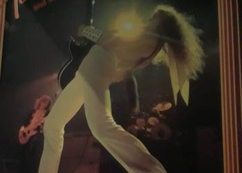 TED NUGENT- Amb The Amboy Dukes.