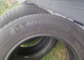 Opony Michelin 195/65 R15