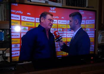 Matryca 40'' FullHD (TV "PHILIPS 40PFH4309/88")