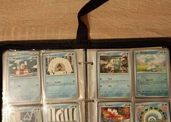 Oryginalne wodne karty Pokèmon