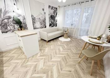 SASKA KĘPA, LUX 3 POKOJE, BEZPOŚREDNIO!