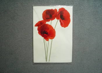 3 sztuki Maki Naklejki dekoracyjne na ścianę meble