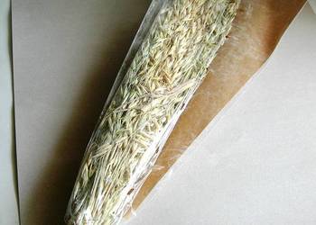 Susz ozdobny zboża trawy Dijk Natural Collections nowy