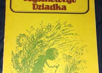 Wędrówki Szyszkowego Dziadka - Maria Kędziorzyna
