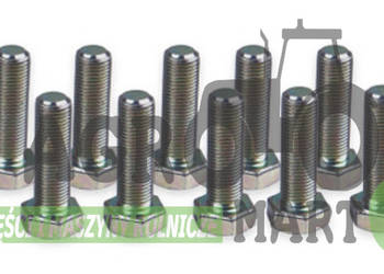 15540631, 87772417, 72260465, 366171222, 320465250, 15540637 ŚRUBA CNH