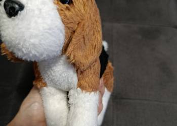 piesek maskotka pluszak kolejny