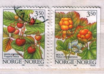 Zn. Norewgia Mi 1204, 5, 26 kas 1996