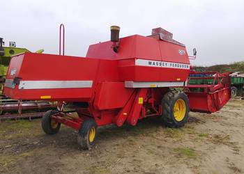 Kombajn Massey Ferguson 307 oryginal zadbany sieczkarnia 186,487 MF