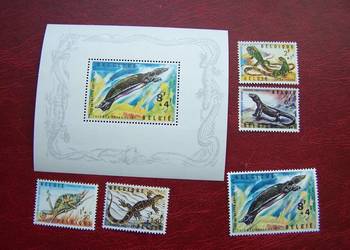Belgia 1965 MNH Fauna Gady Żółw  a