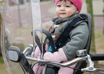 Thule Yepp Mini przedni fotelik rowerowy dziecko do 15kg