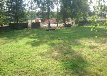 sprzedam dzialke ok 2ha-CHorowice
