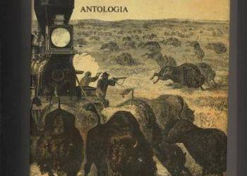 Ameryka w pamiętnikach Polaków   Antologia
