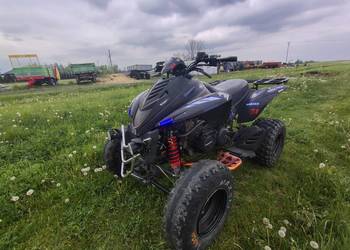Quuad Dinli Lacki Star 300