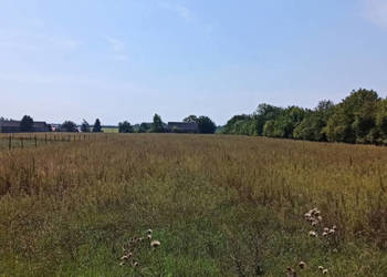 Siemiatycze - ul. Żeromskiego DZIAŁKA BUDOWLANA