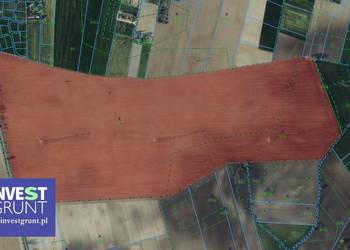 [74,27 ha] przetarg na dzierżawę gruntów rolnych