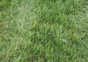 Sprzedam talerzówke bronę talerzową