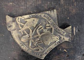 medal okolicznościowy