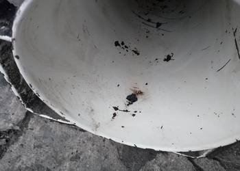 Zbiornik próżniowy dojarka alfa laval