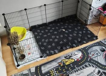 Wybieg dla gryzoni DIY - zbuduj własną przestrzeń dla pupila