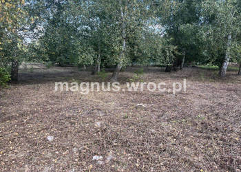 Duża działka na leśnym osiedlu w Miłoszycach!