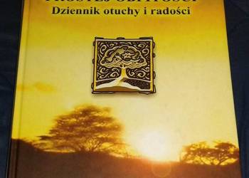 Ścieżka prostej obfitości - Sarah Ban Breathnach